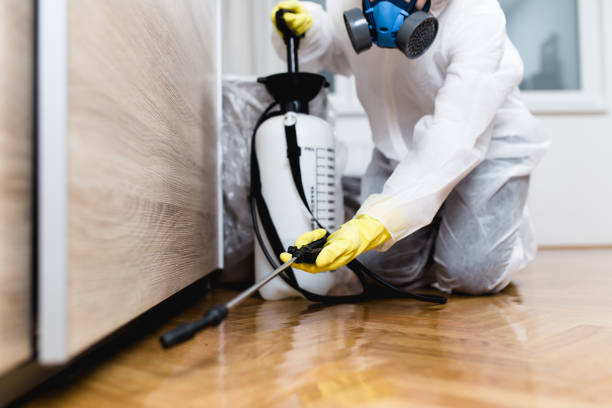 Wasp Removal Services in Brookside, AL