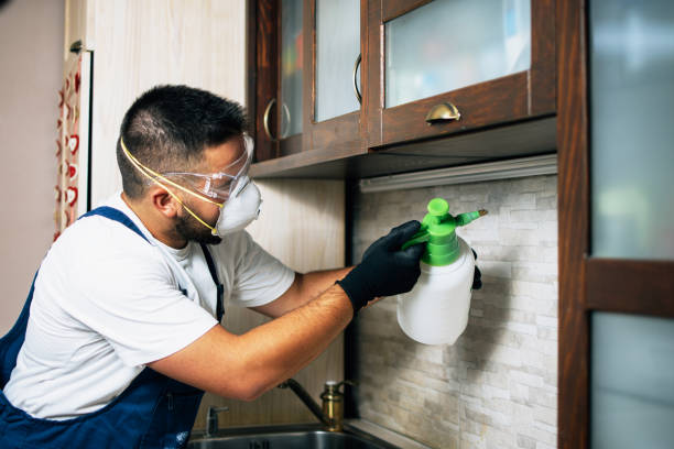 Best Pest Removal Services  in Brookside, AL
