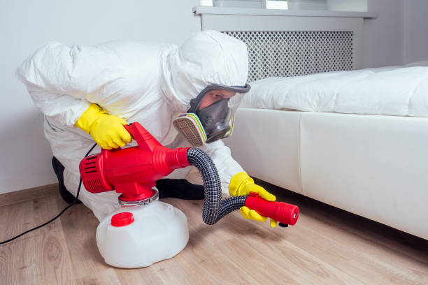 Best Pest Control Treatment  in Brookside, AL