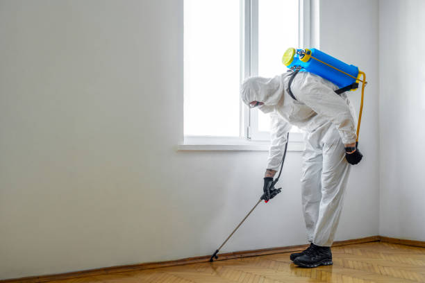 Best Pest Control for Businesses  in Brookside, AL