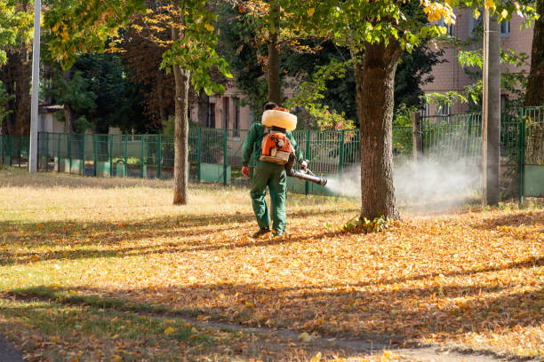 Reliable Brookside, AL Pest Control Solutions